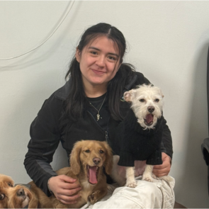 City Tails NYC Dog Walker