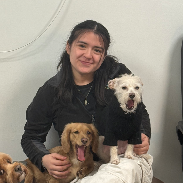 City Tails NYC Dog Walker